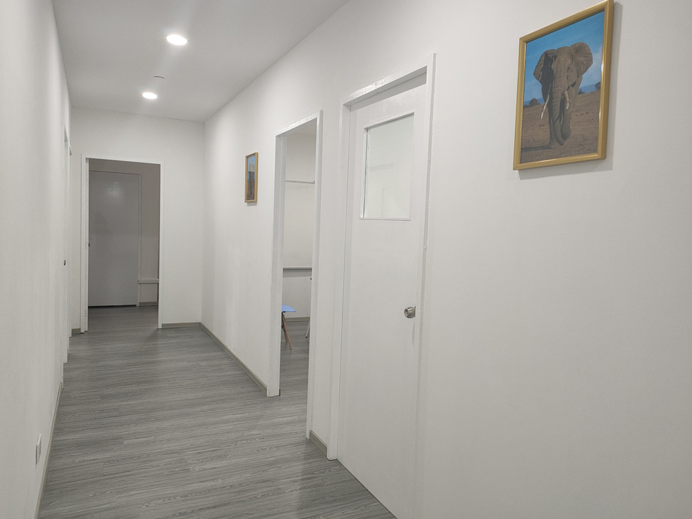 Xuelin Learning Hub 6